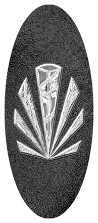 Silver Sunburst Shimmer Black